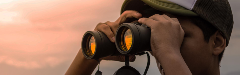 how to find an ecommerce developer - man searching looking through binoculars
